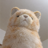 ☆ねこち☆