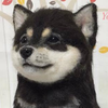 そら