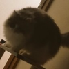 める