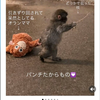 パンチくん🐒🍌