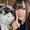 ユーザーアイコン