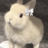 らーめん