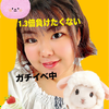 みやぽん🐧🌻ガチイベ2日目#ひとかわ