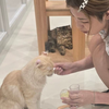 リサ🦎🍷🧸