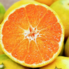 みかん🍊