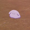 ぴより🐥📛