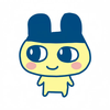 ここみ