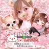 ちわわんこ