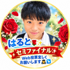 はると🌹✨#DCミスターコンweb投票🙏🏻