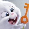 ひなの🧸🩷
