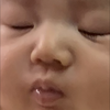 いんげんまめ