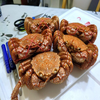 ひでの