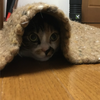 Hirocky