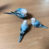ポコりん