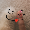 みやけ