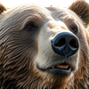 ヨミっクマ