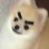 🐕