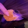 ？？