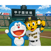 ドラくま🧸🤎