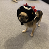 よっさん