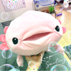 🌻ことりっぷり🌻🌺🐾