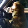 ムーミン🐶💕🐱 空き時間