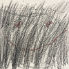 クジロkujiro9