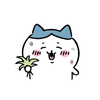 杏仁豆腐