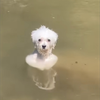 み