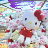さぁこ