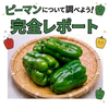 YOSHI(公式)