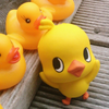 piyopiyo