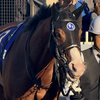 ⭐️🏇すぱげてぃ⭐️🏇