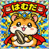 🐹はむだ🐹