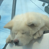 takaちゃん