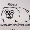 まお🐟🩵