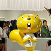 ひめまま