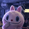 カツオ