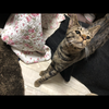 ぬん。
