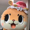 shin