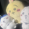 かしゆみ