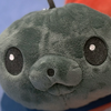 ｱﾂｺ