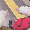 まみこと