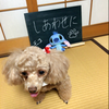 のんめろ❤まなぴ