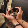 yeontan97