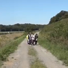 くぼたなつき
