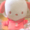 まゆしんご