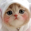 かゅう