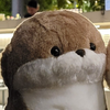 かわいすずか🦐🎰