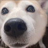 あいり